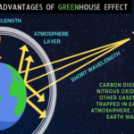 The Perks of Greenhouse Effect: Top 5 Advantages of Greenhouse Gases